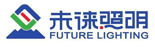 未徠照明攜手博凌管理進行質量環境管理體系落地推行